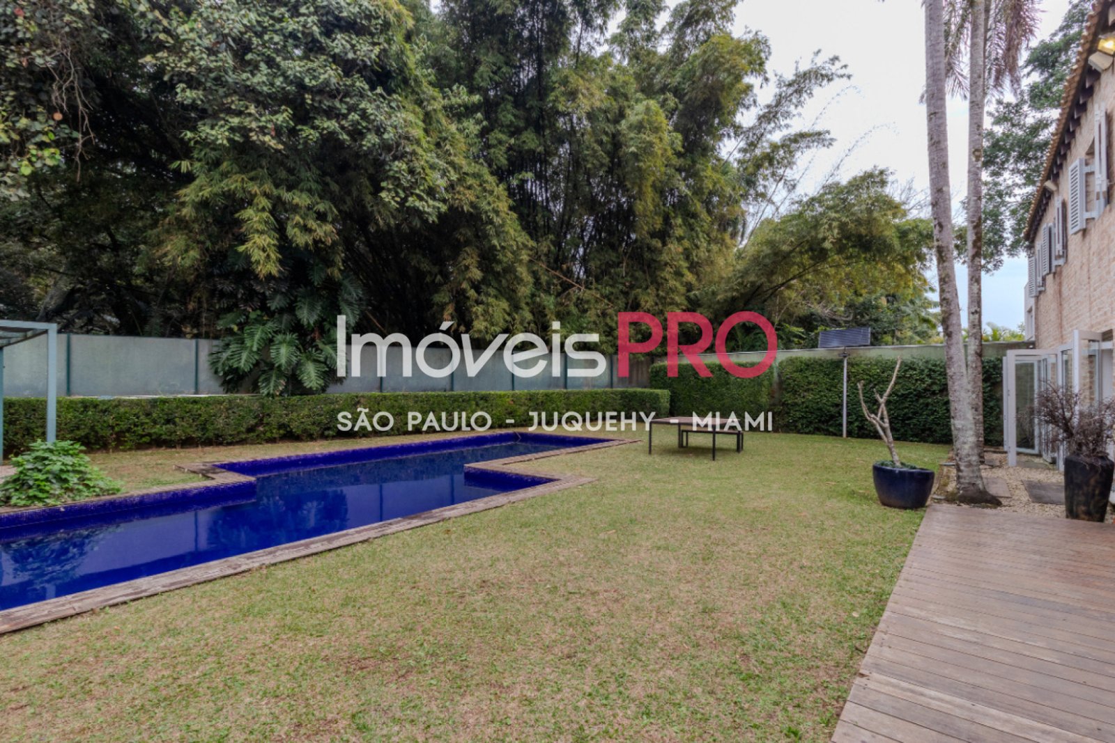 Foto :: IP40493