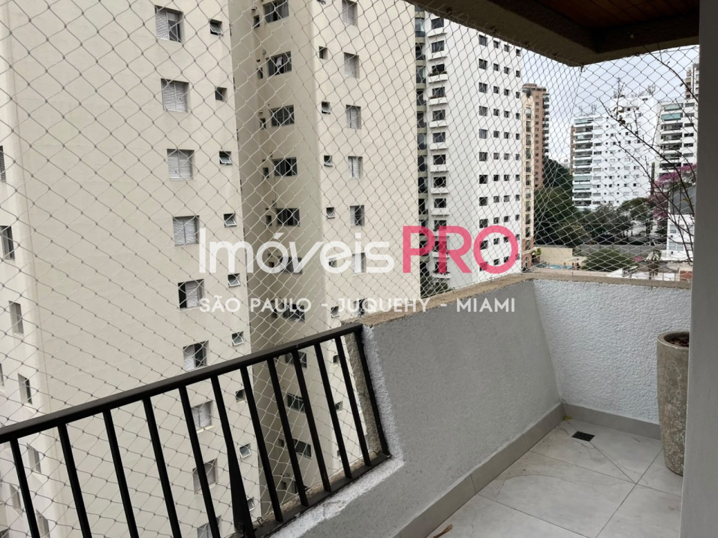 Foto :: IP40496