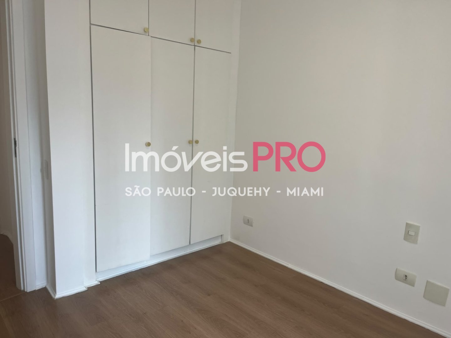 Foto :: IP40496
