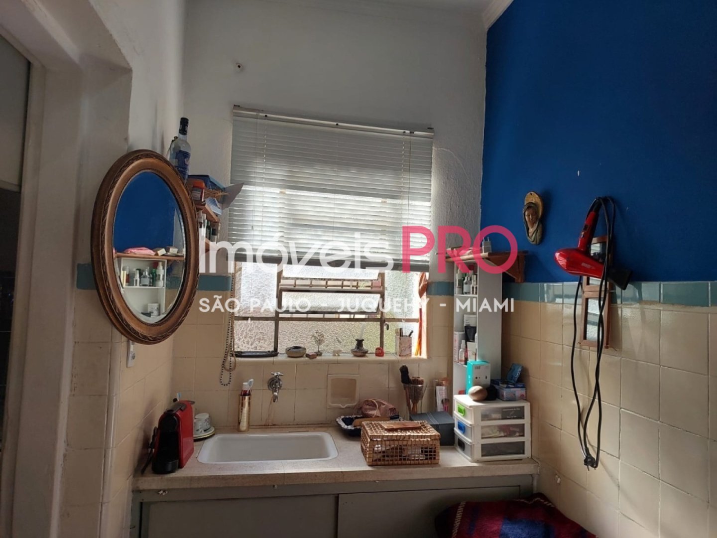 Foto :: IP40501