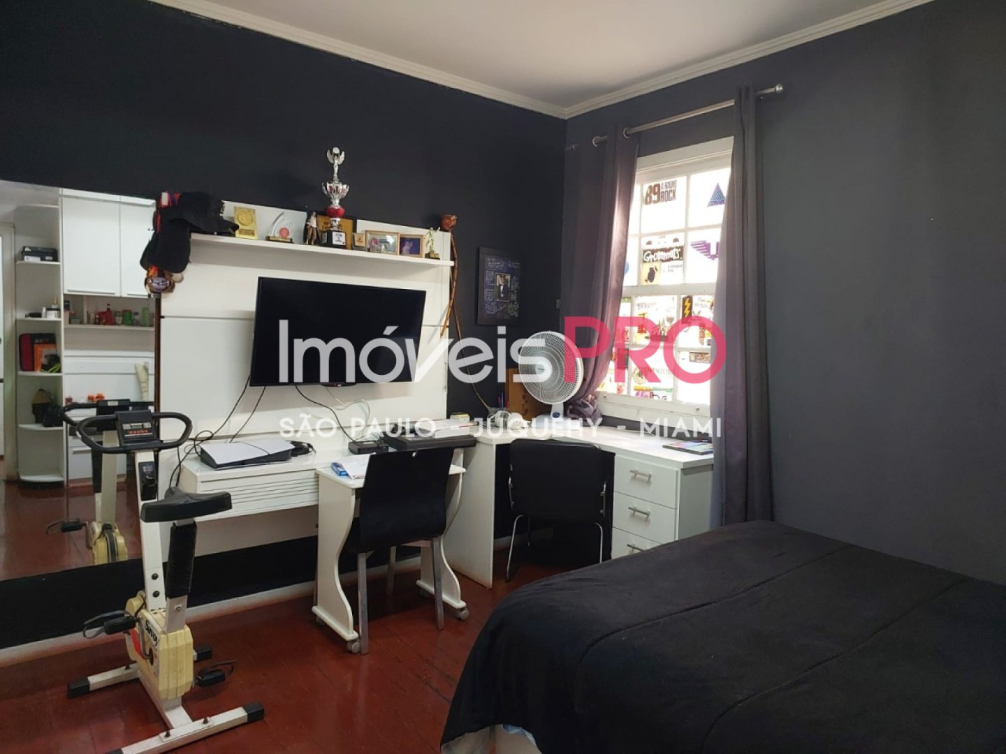 Foto :: IP40501