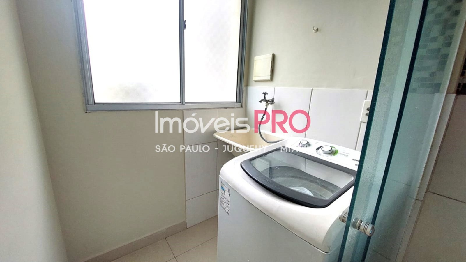 Foto :: IP40516