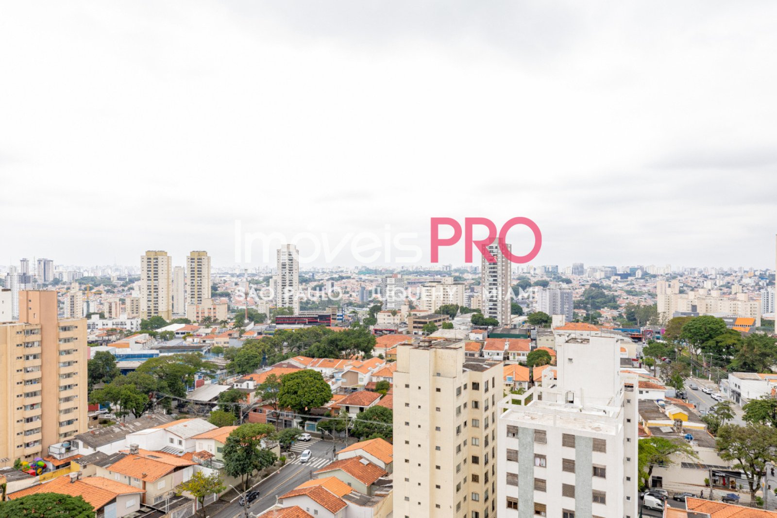 Foto :: https://assets.imoveispro.com.br/thumb/IP40525/apartamento-venda-vila-mascote_IP40525_35_1920x1080.jpg?