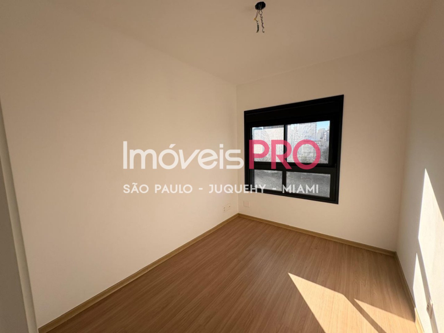 Foto :: IP40538