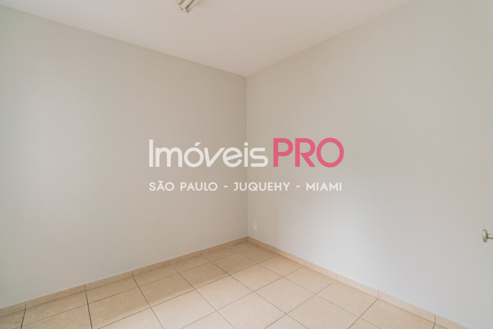 Foto :: IP40549