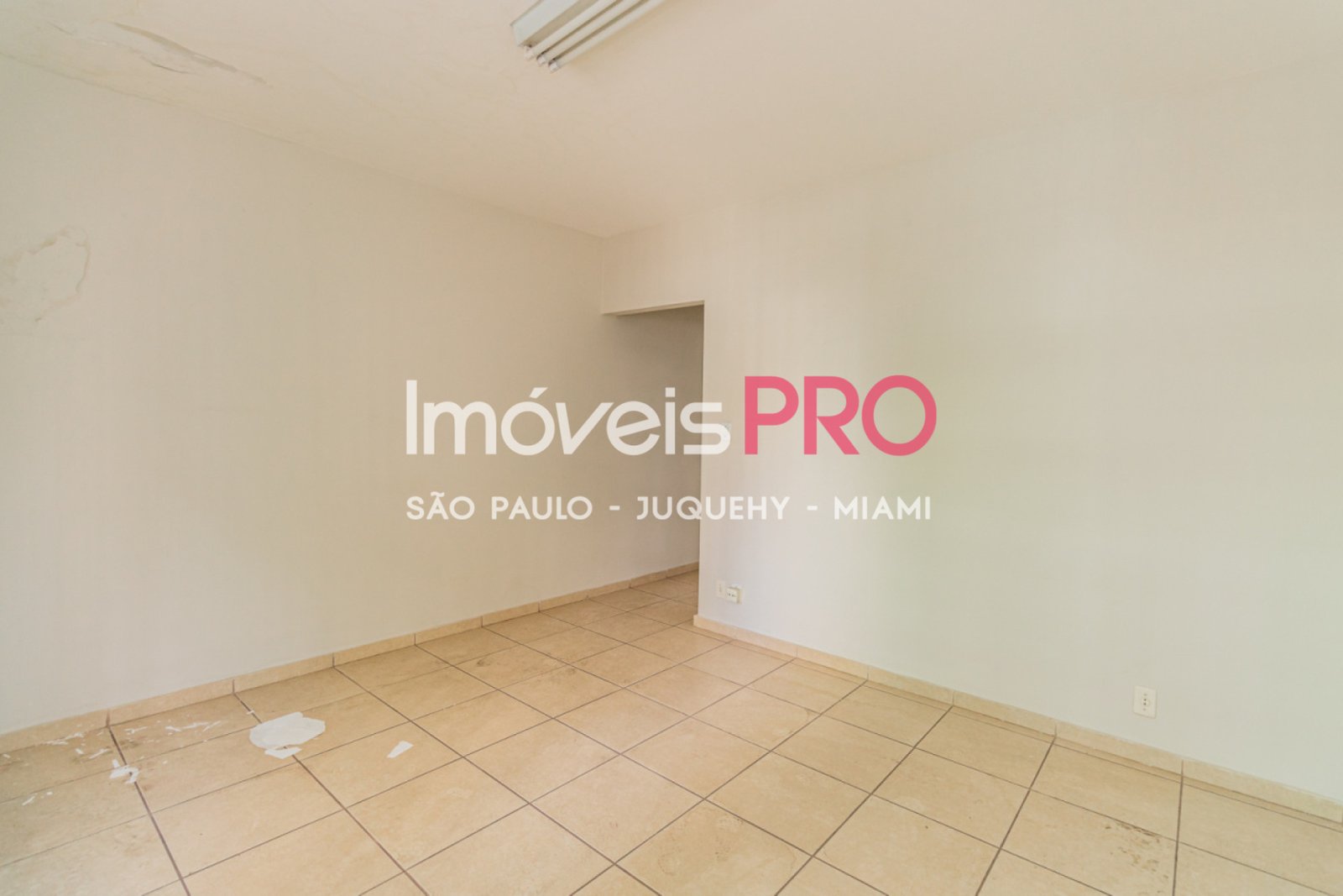 Foto :: IP40549
