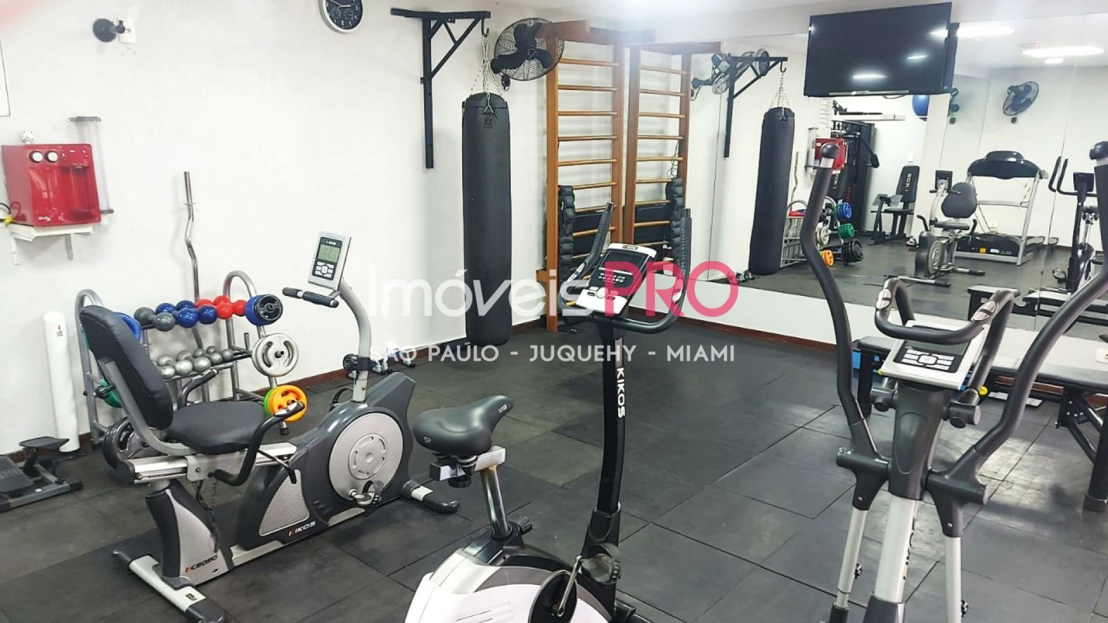 Foto :: IP40562