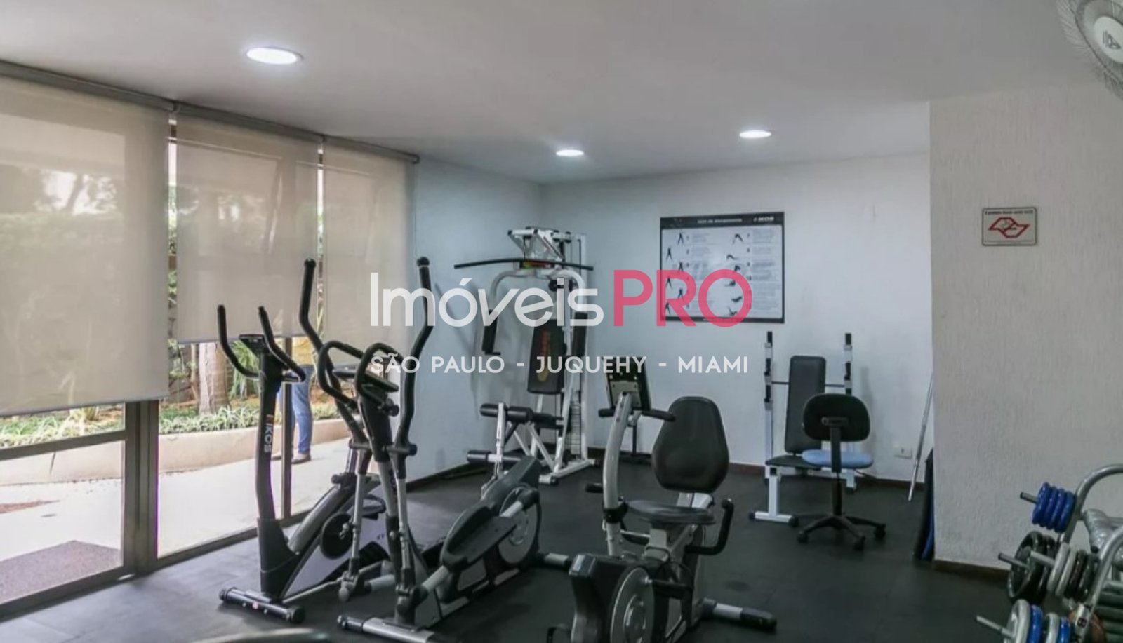 Foto :: IP40562