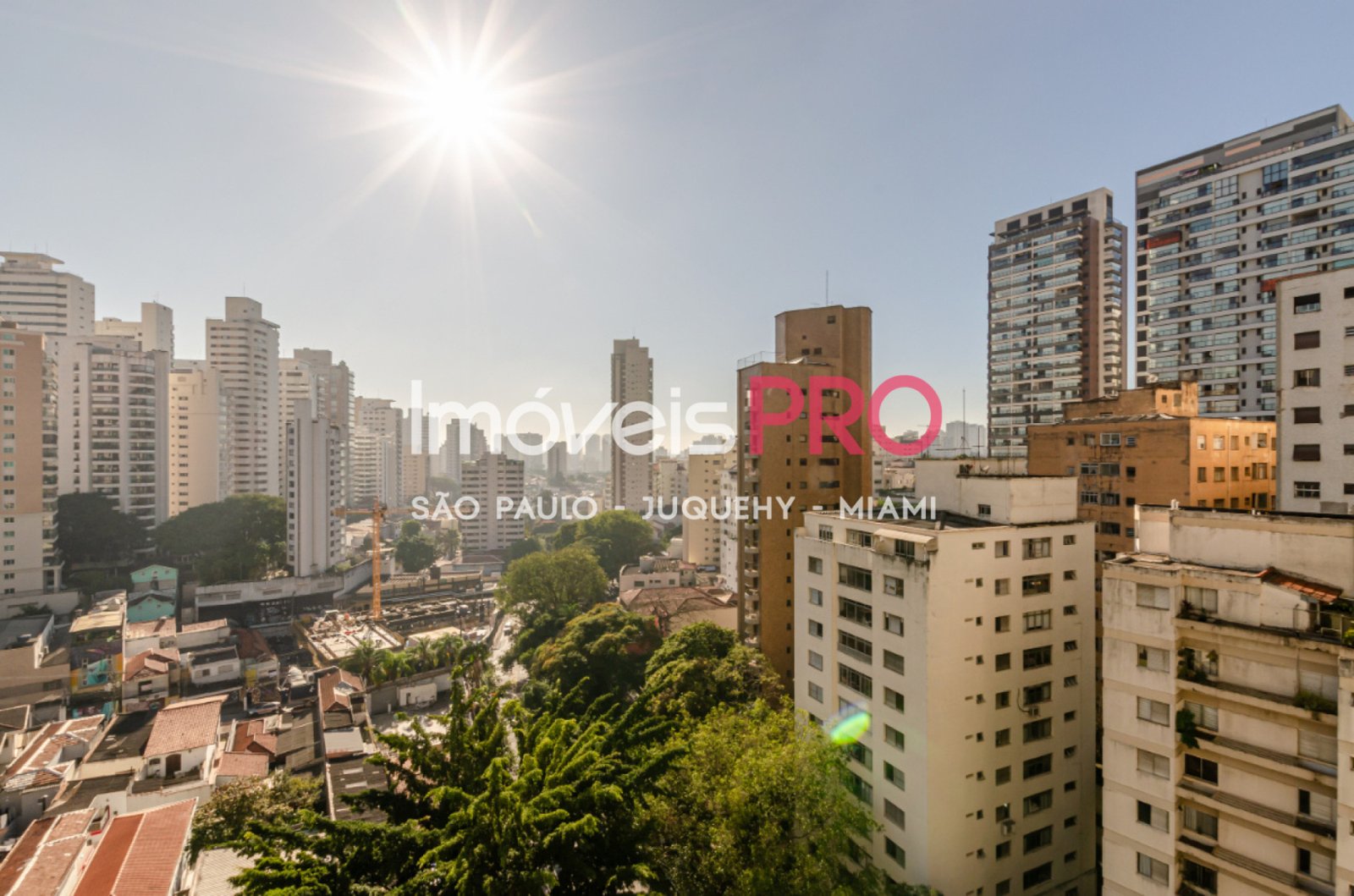 Foto :: IP40563
