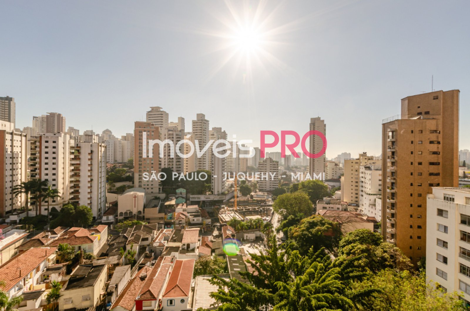 Foto :: IP40563