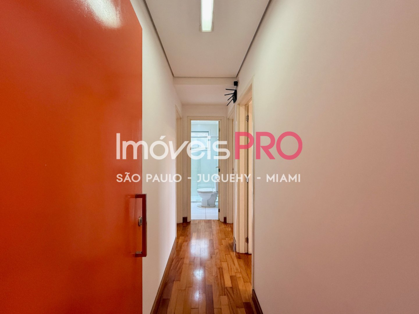 Foto :: IP40565