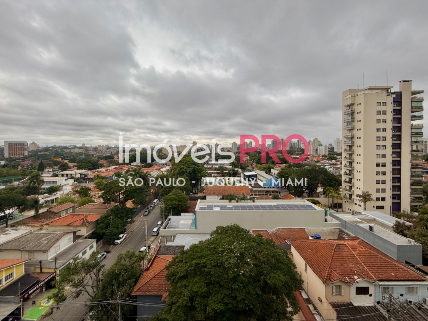 Foto :: IP40565