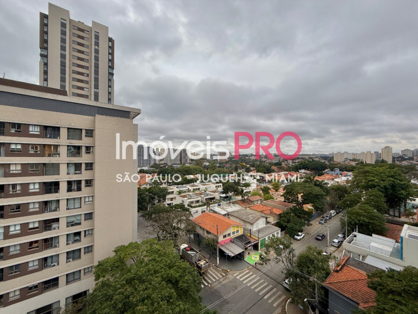 Foto :: IP40565