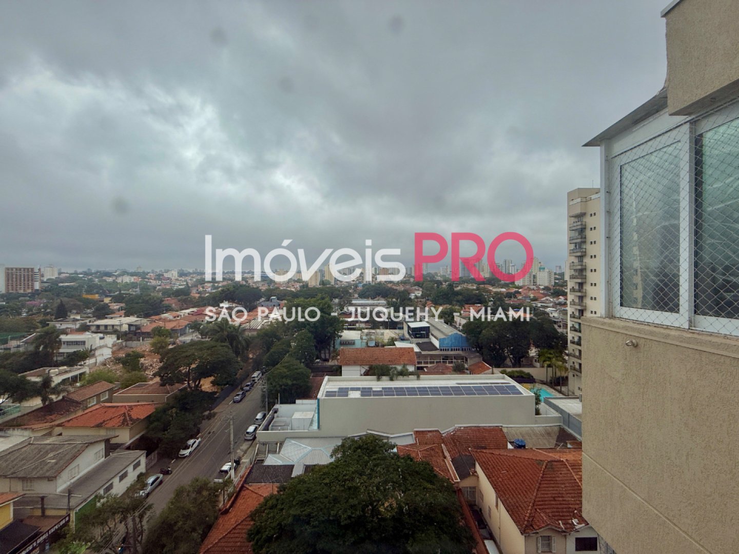 Foto :: IP40565