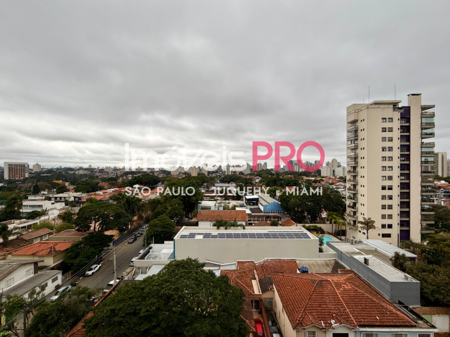 Foto :: IP40565
