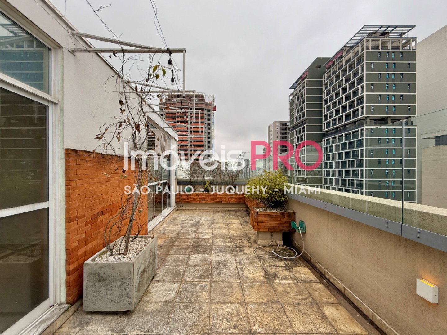 Foto :: IP40565