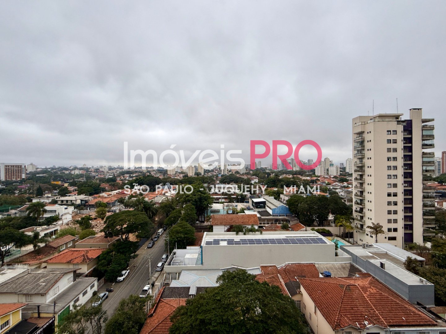 Foto :: IP40565