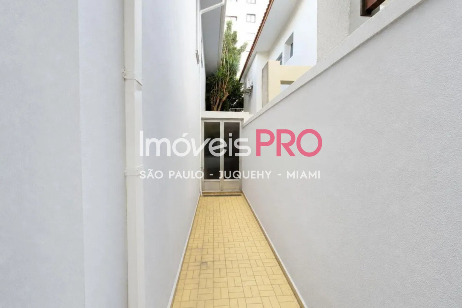 Foto :: IP40571