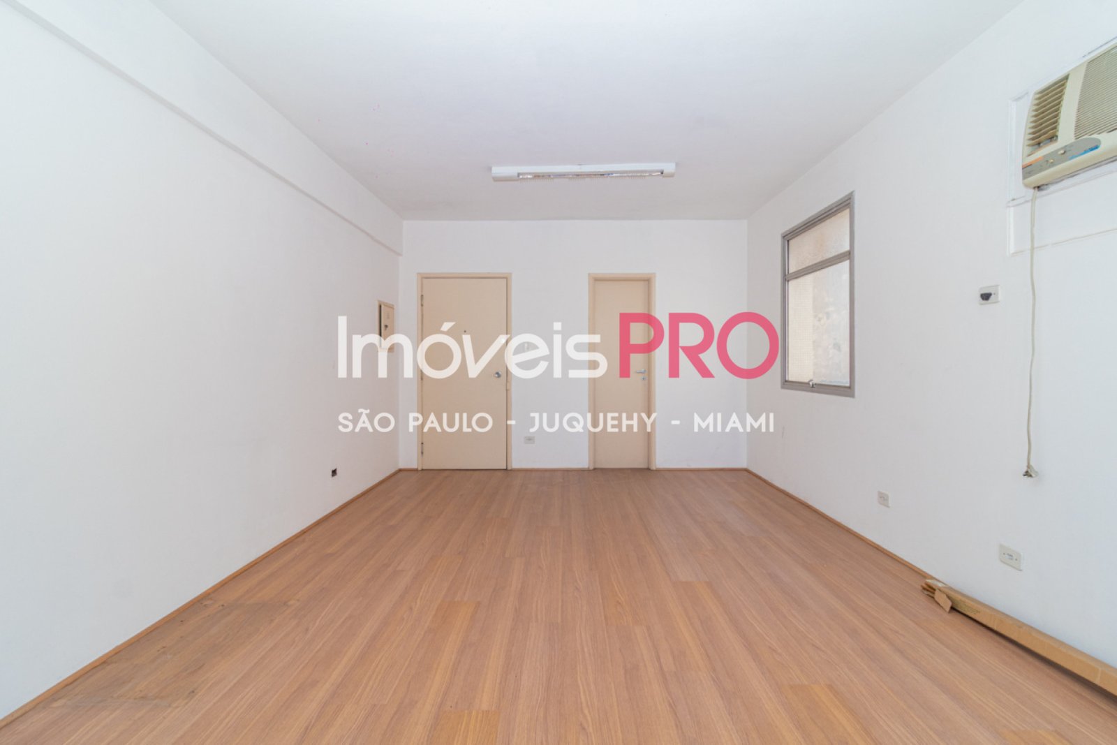 Foto :: IP40573