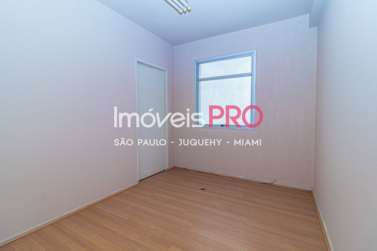 Foto :: IP40573