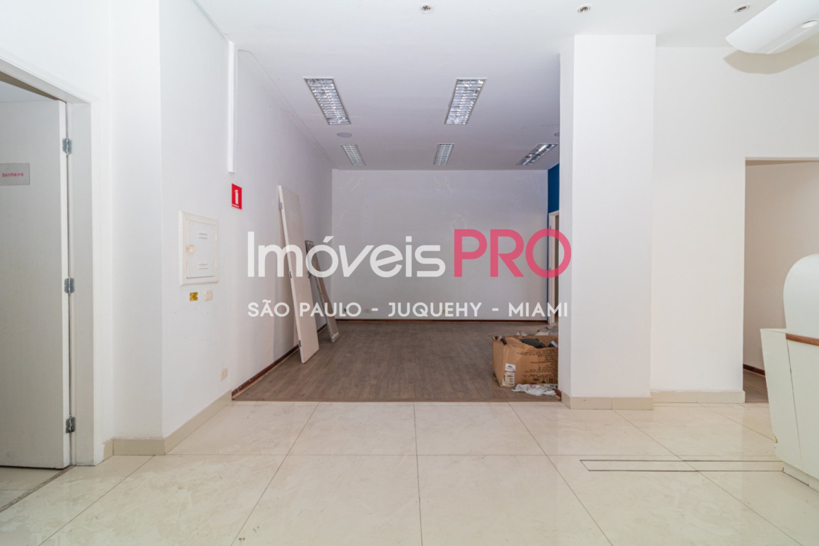 Foto :: IP40573
