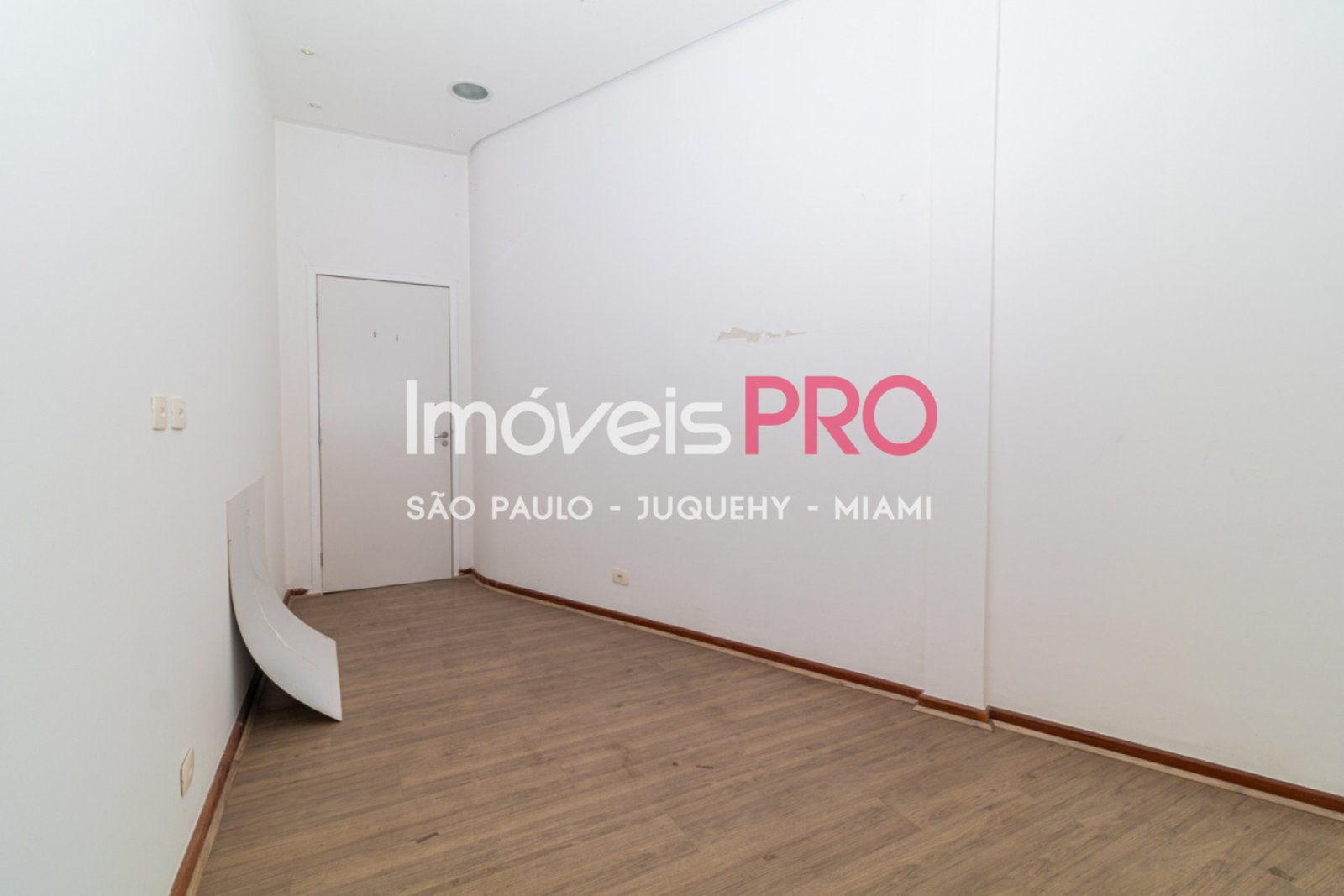 Foto :: IP40573