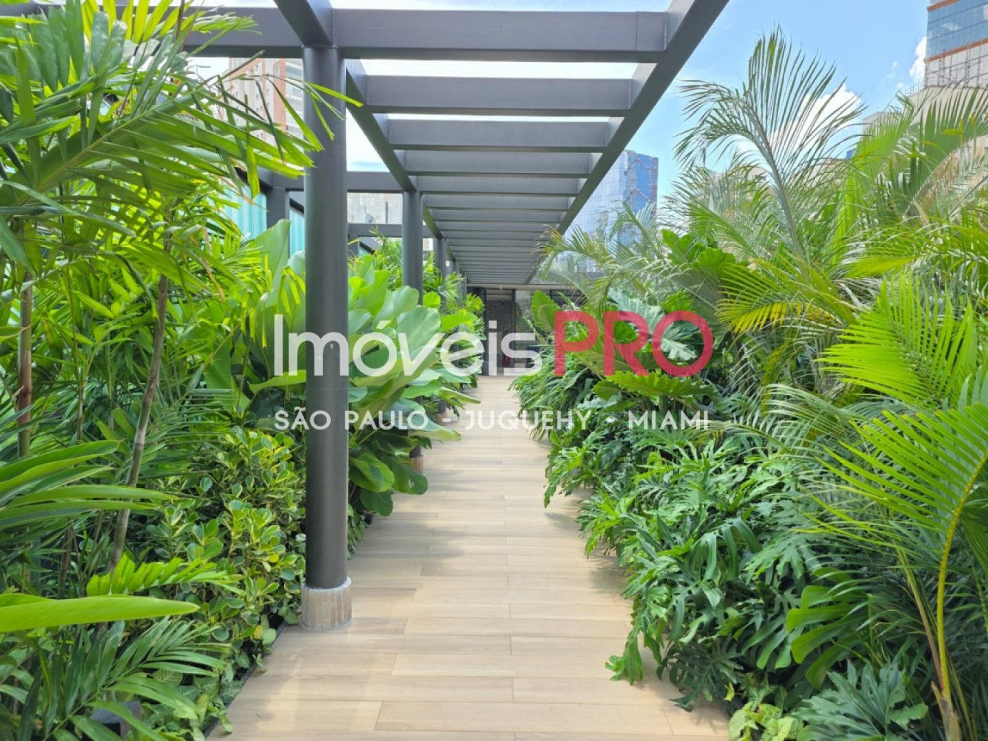 Foto :: IP40574