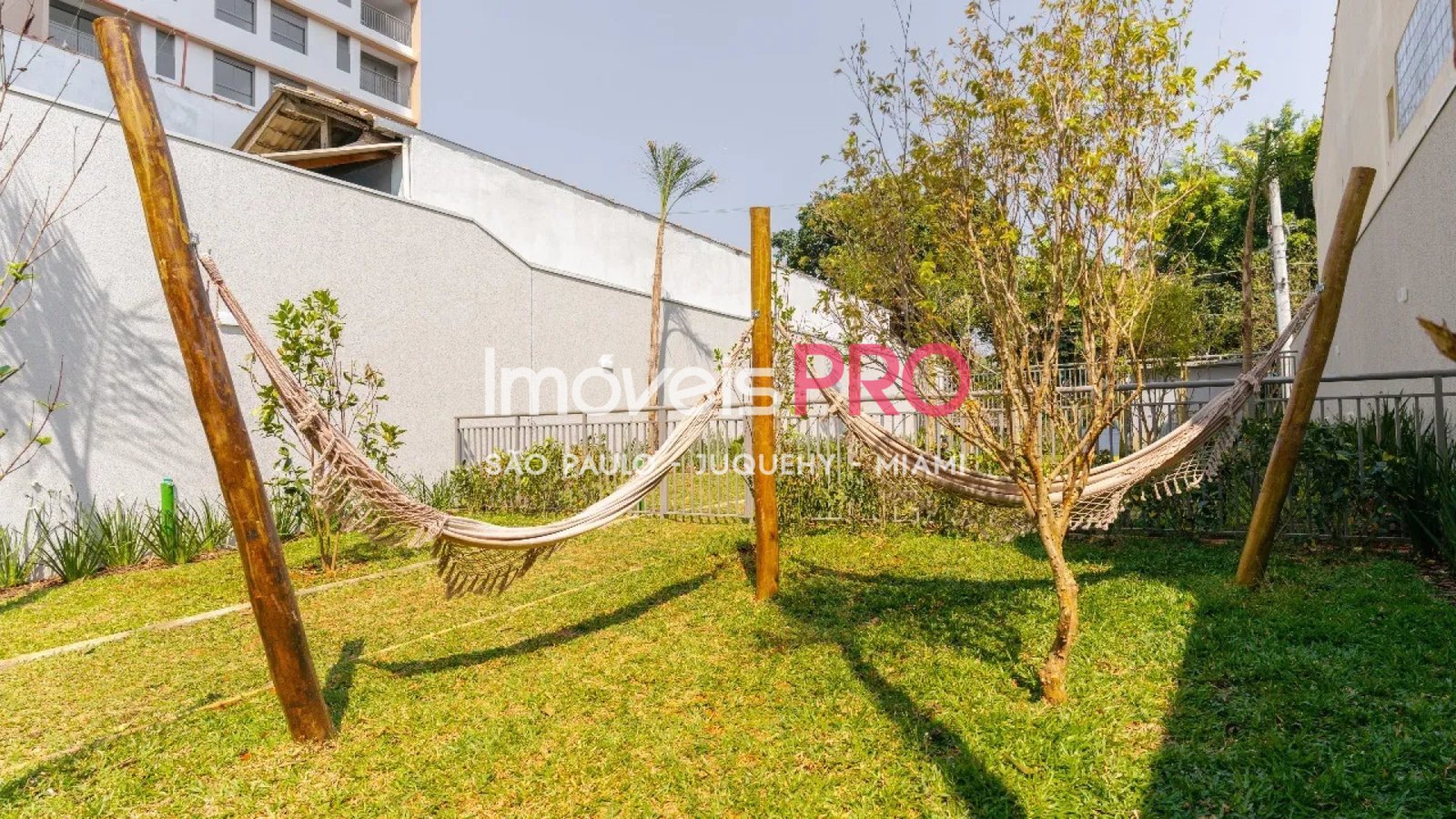 Foto :: IP40576