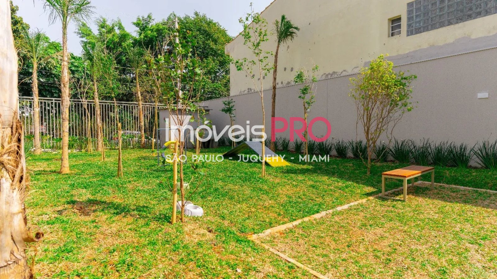 Foto :: IP40576
