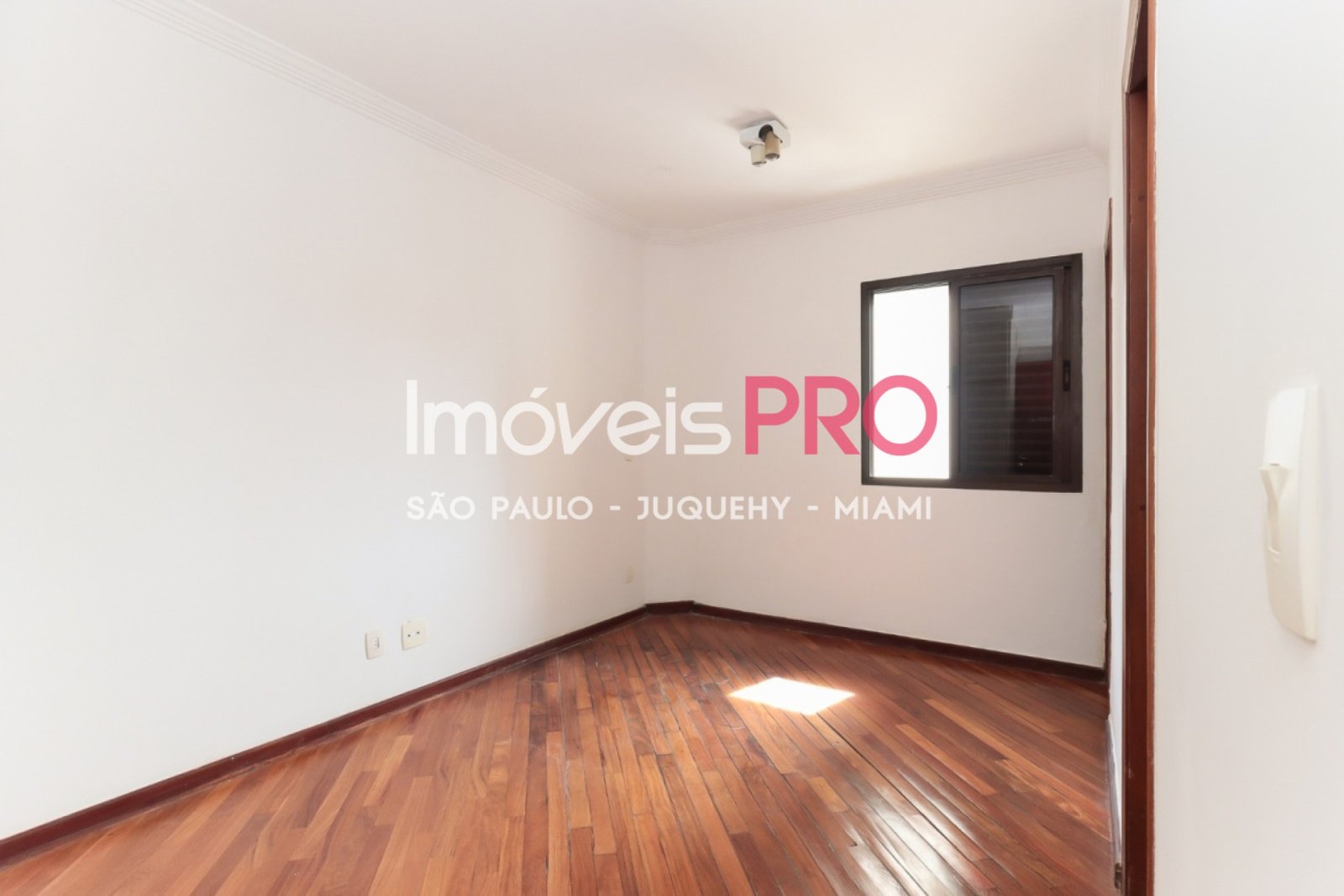 Foto :: IP40583