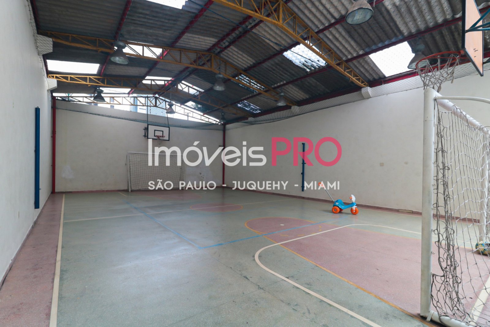 Foto :: IP40583