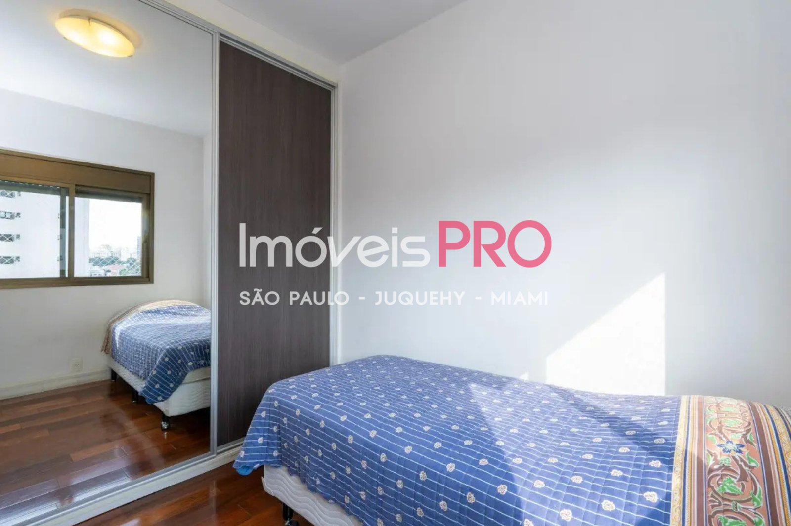 Foto :: IP40586