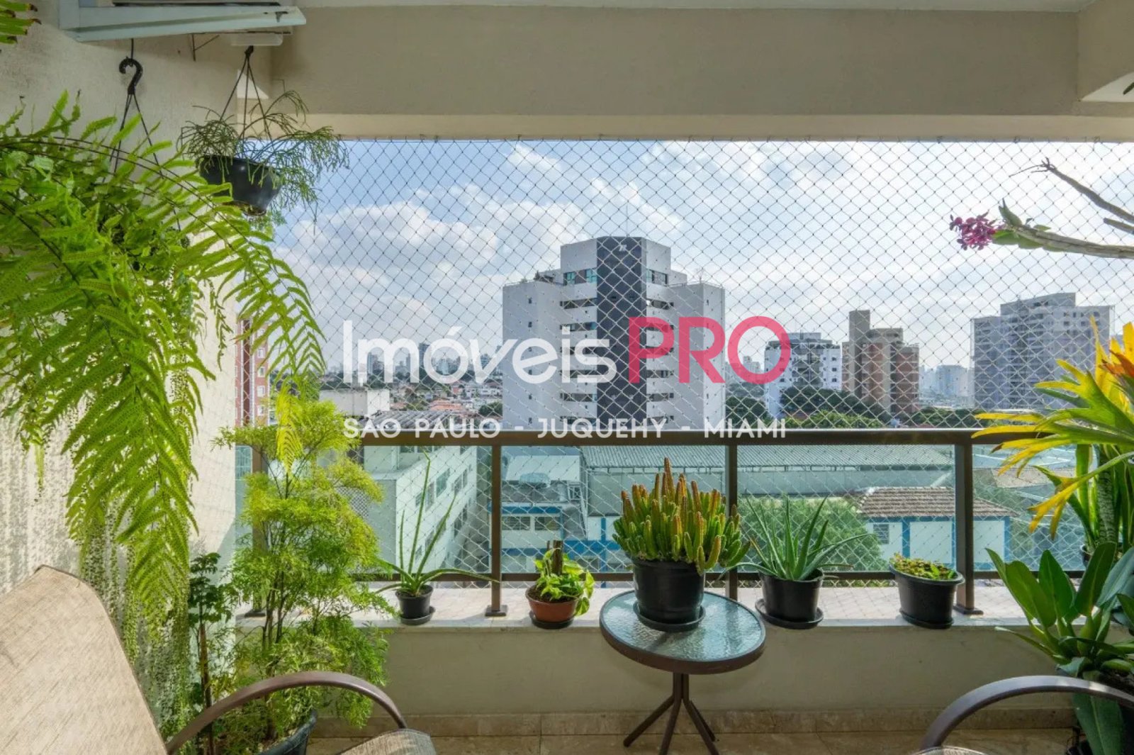 Foto :: IP40586