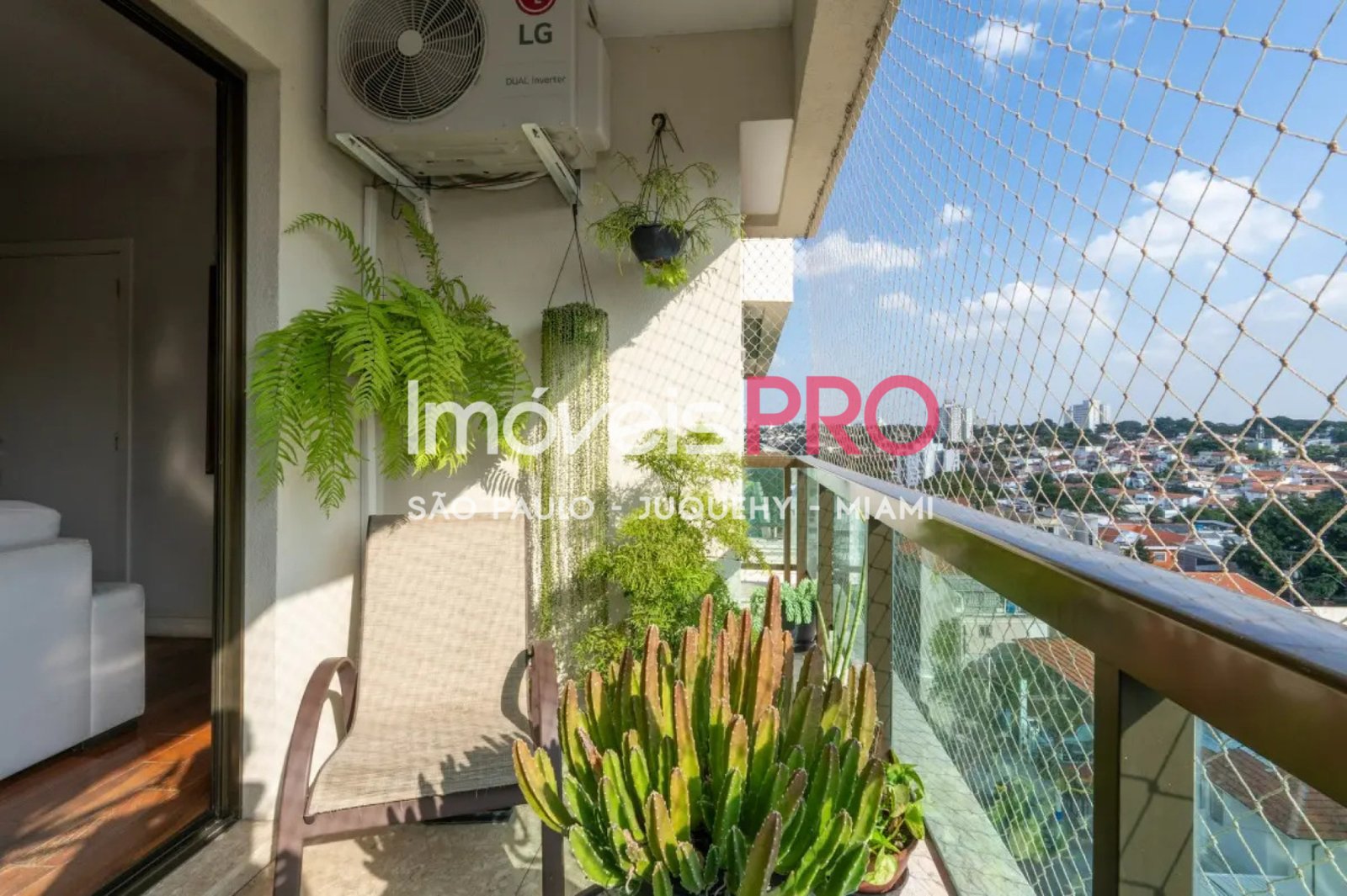 Foto :: IP40586