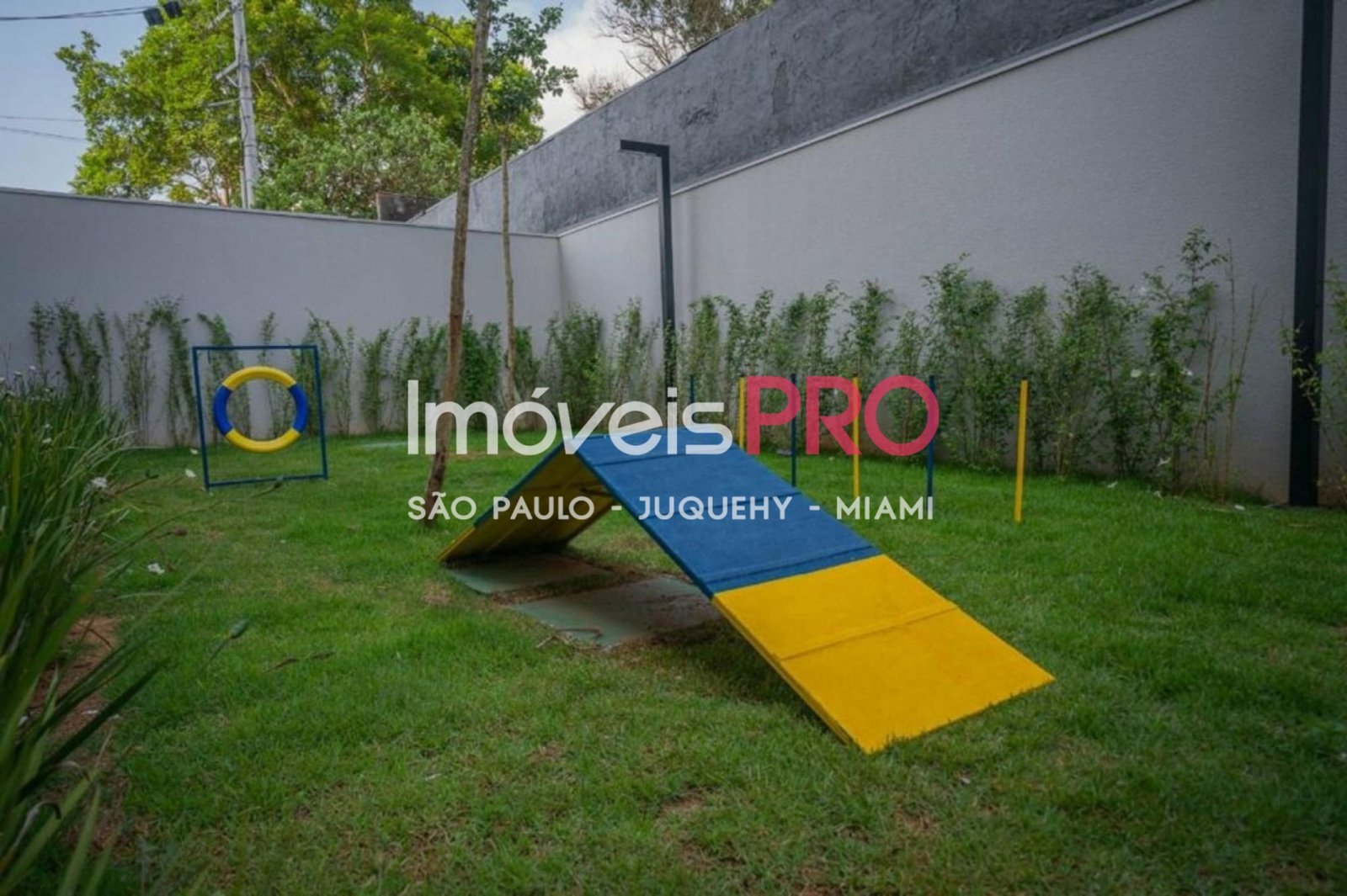 Foto :: IP40591