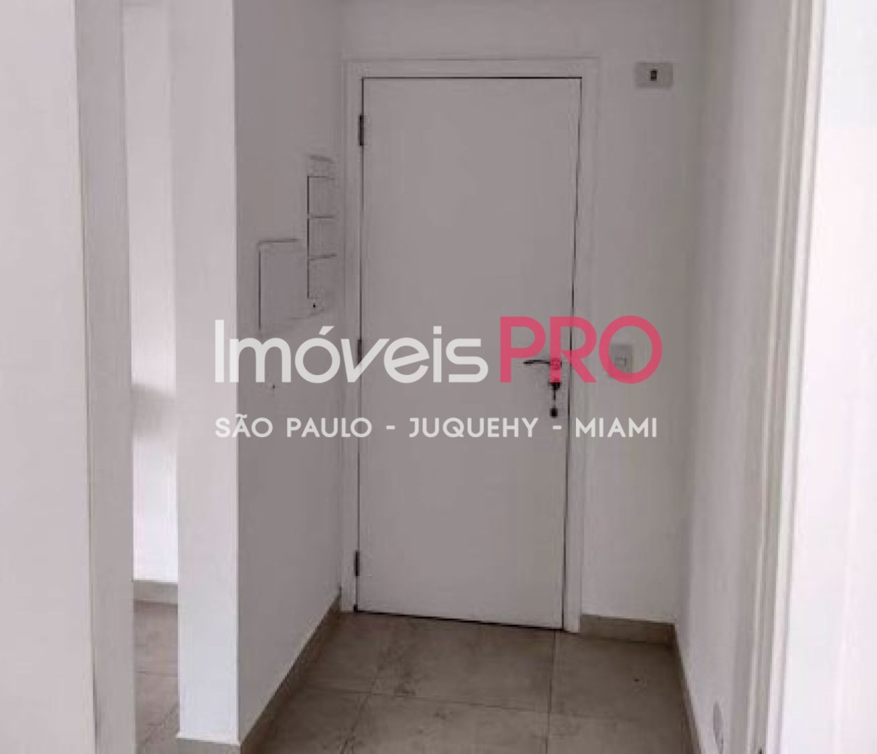 Foto :: IP40593