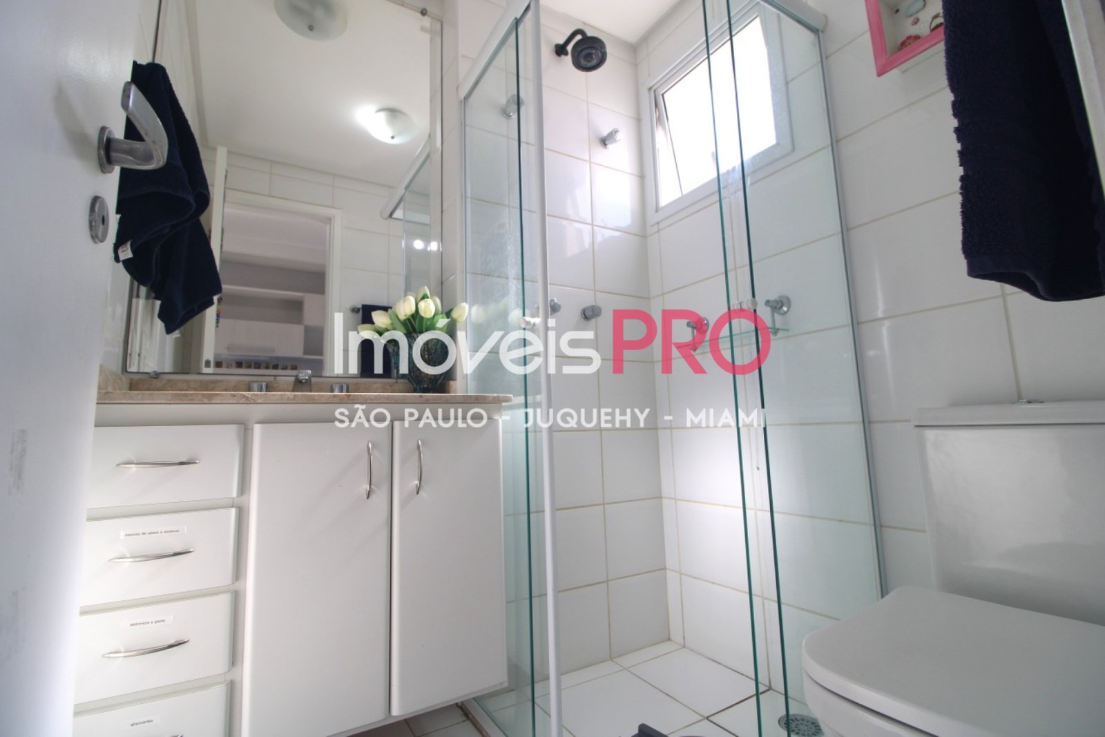 Foto :: IP40596