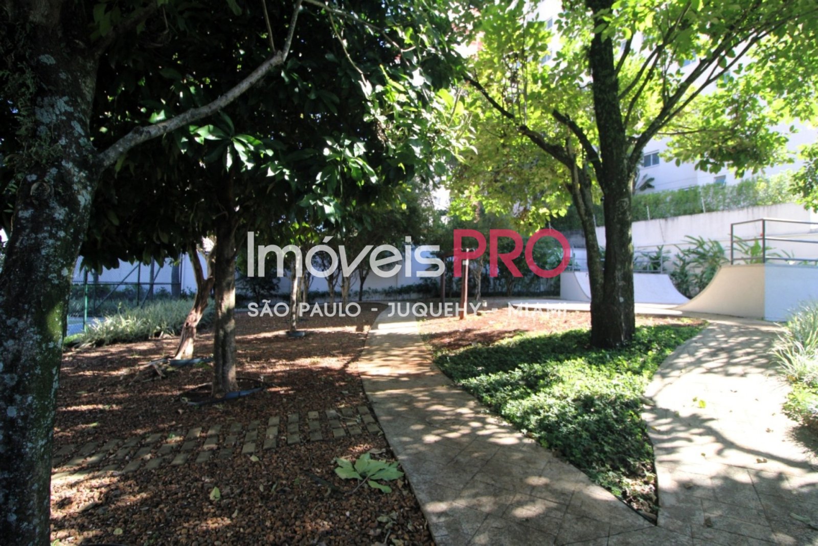 Foto :: IP40596