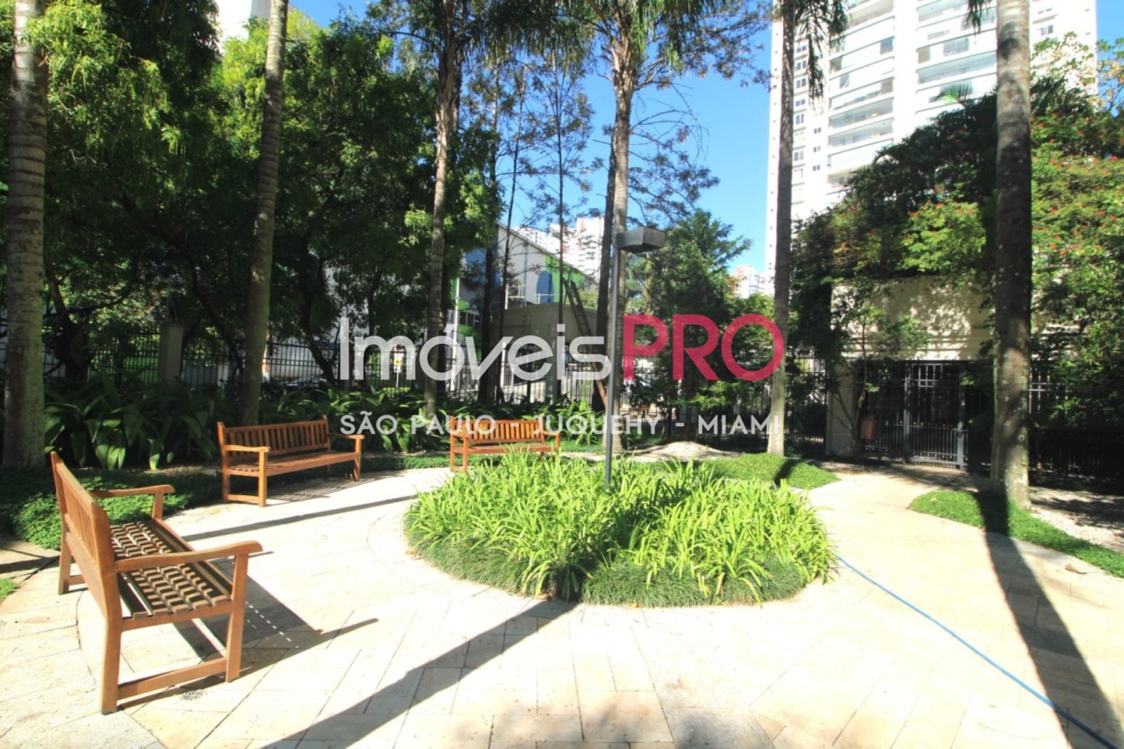 Foto :: IP40596