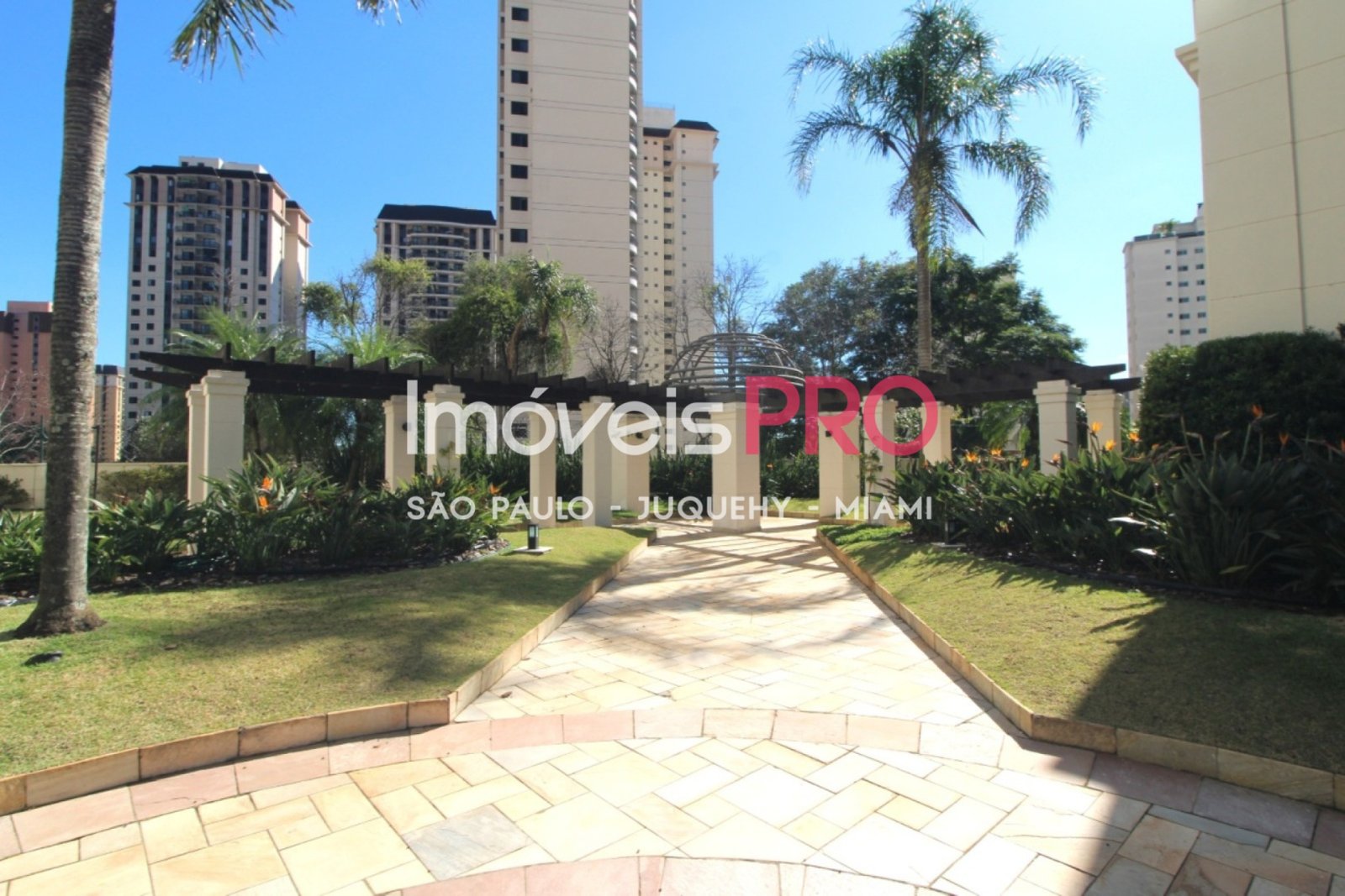 Foto :: IP40596