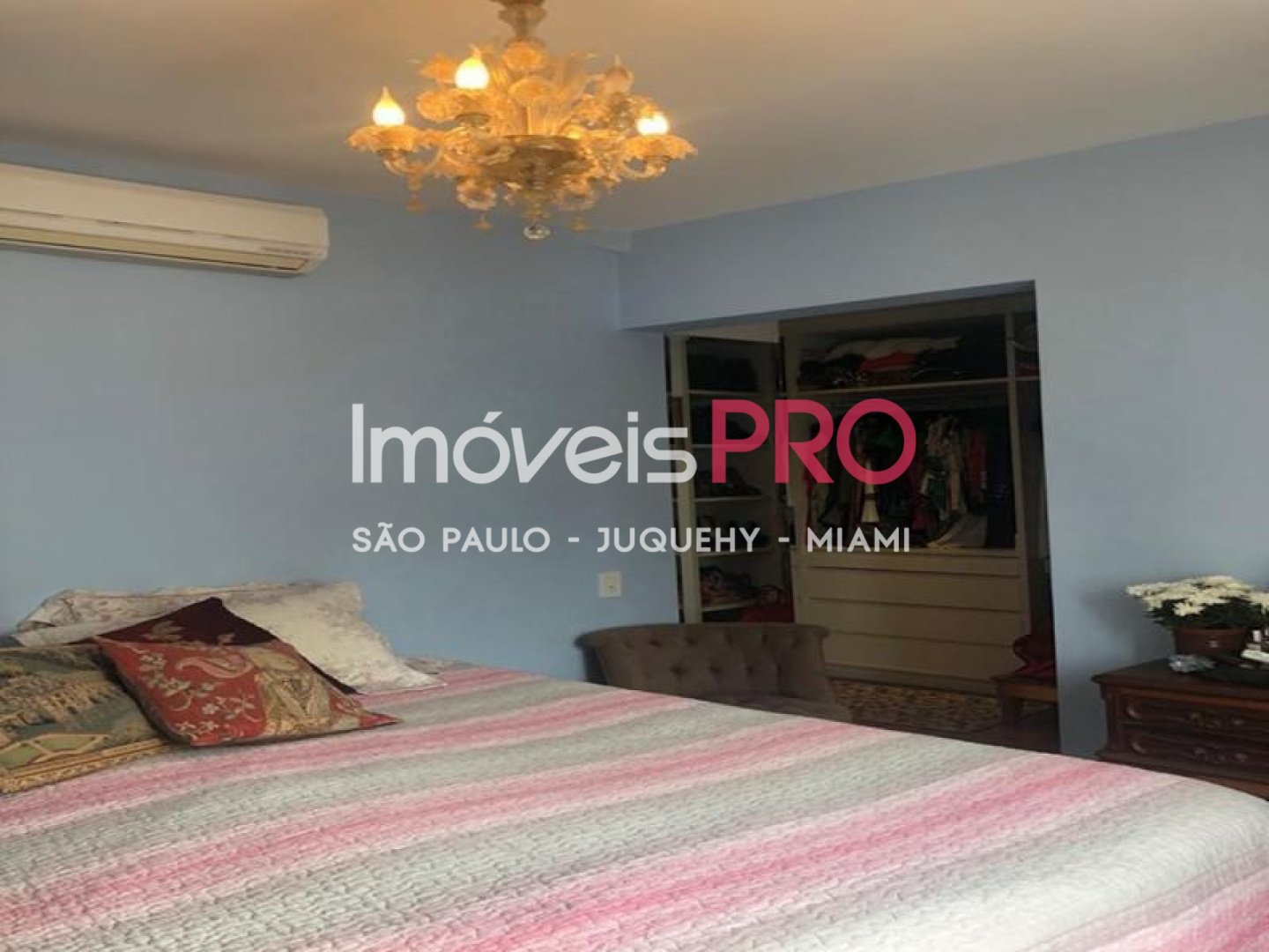 Foto :: IP40631