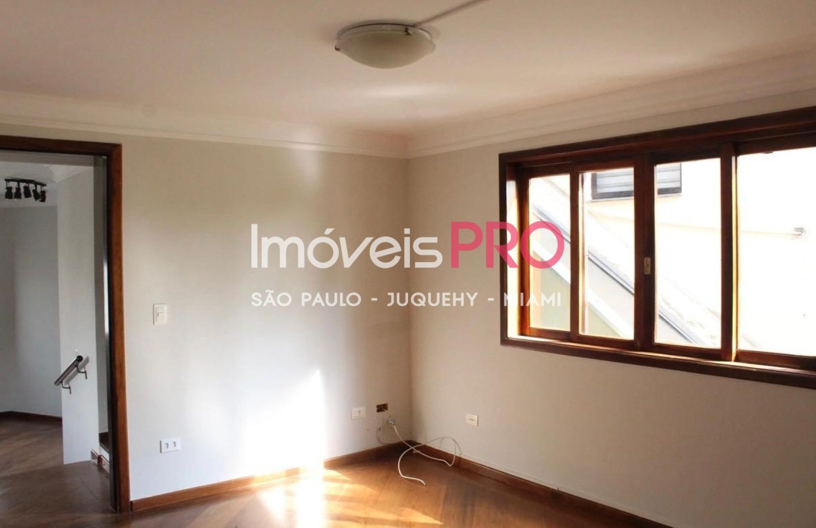 Foto :: IP40644