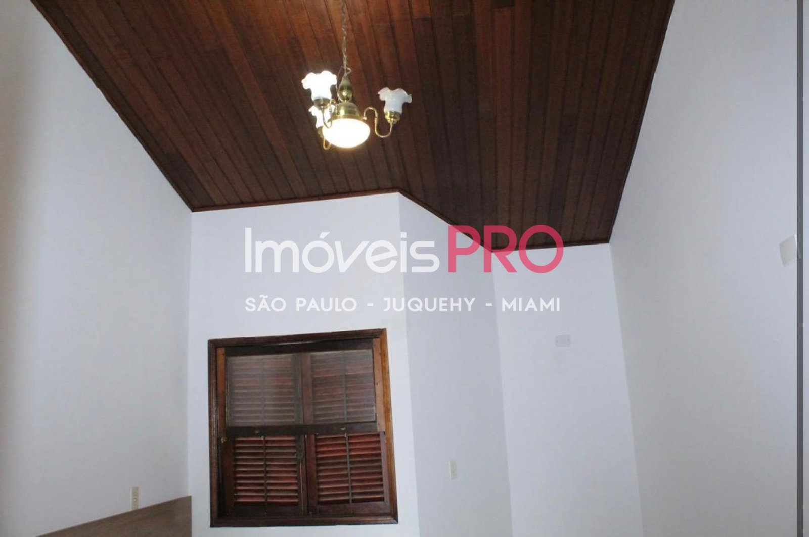 Foto :: IP40644