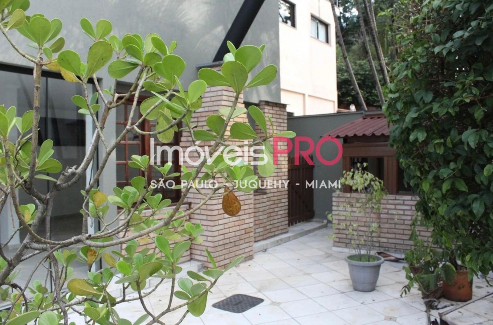 Foto 2 :: IP29179