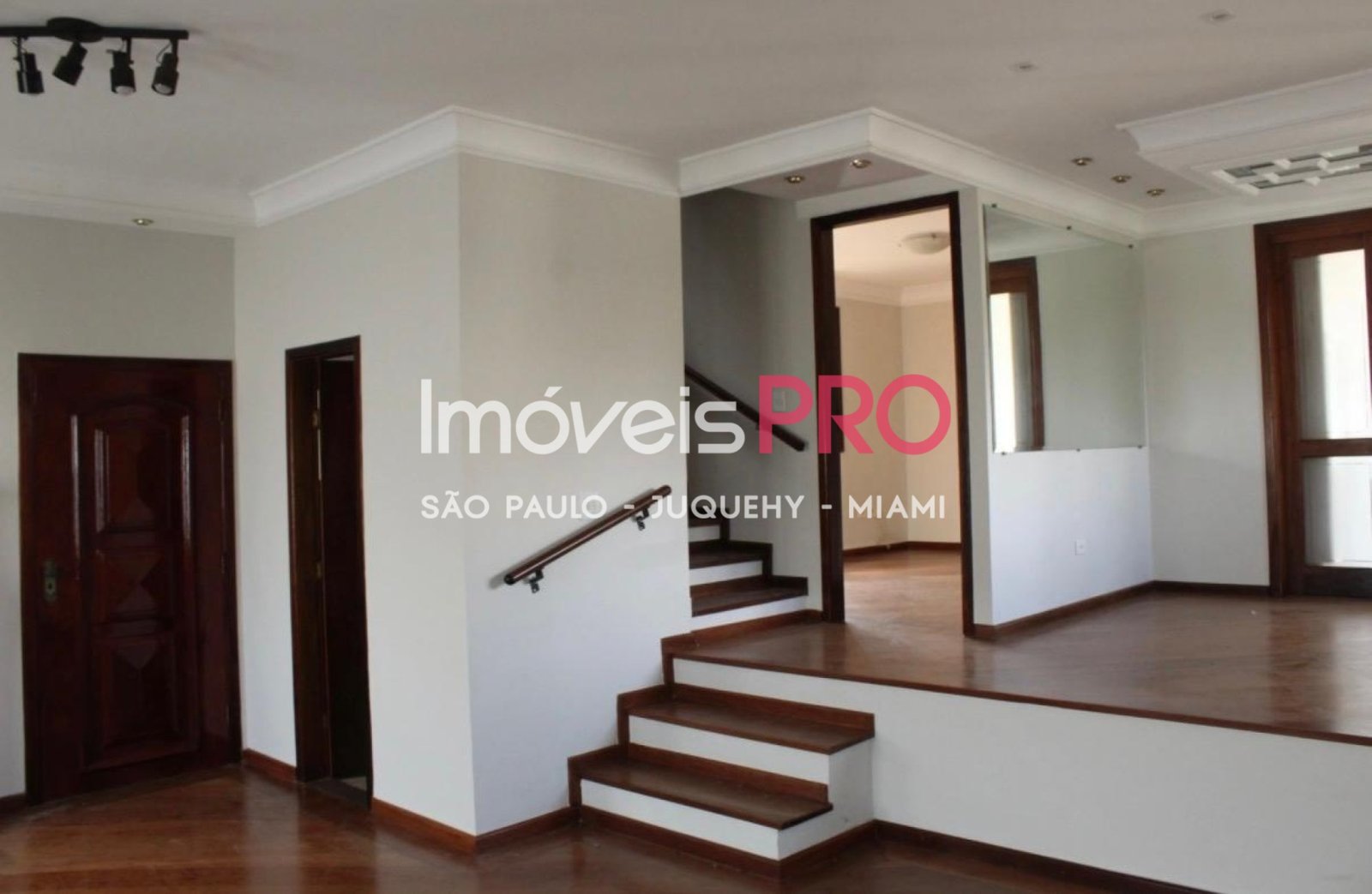 Foto :: IP40644