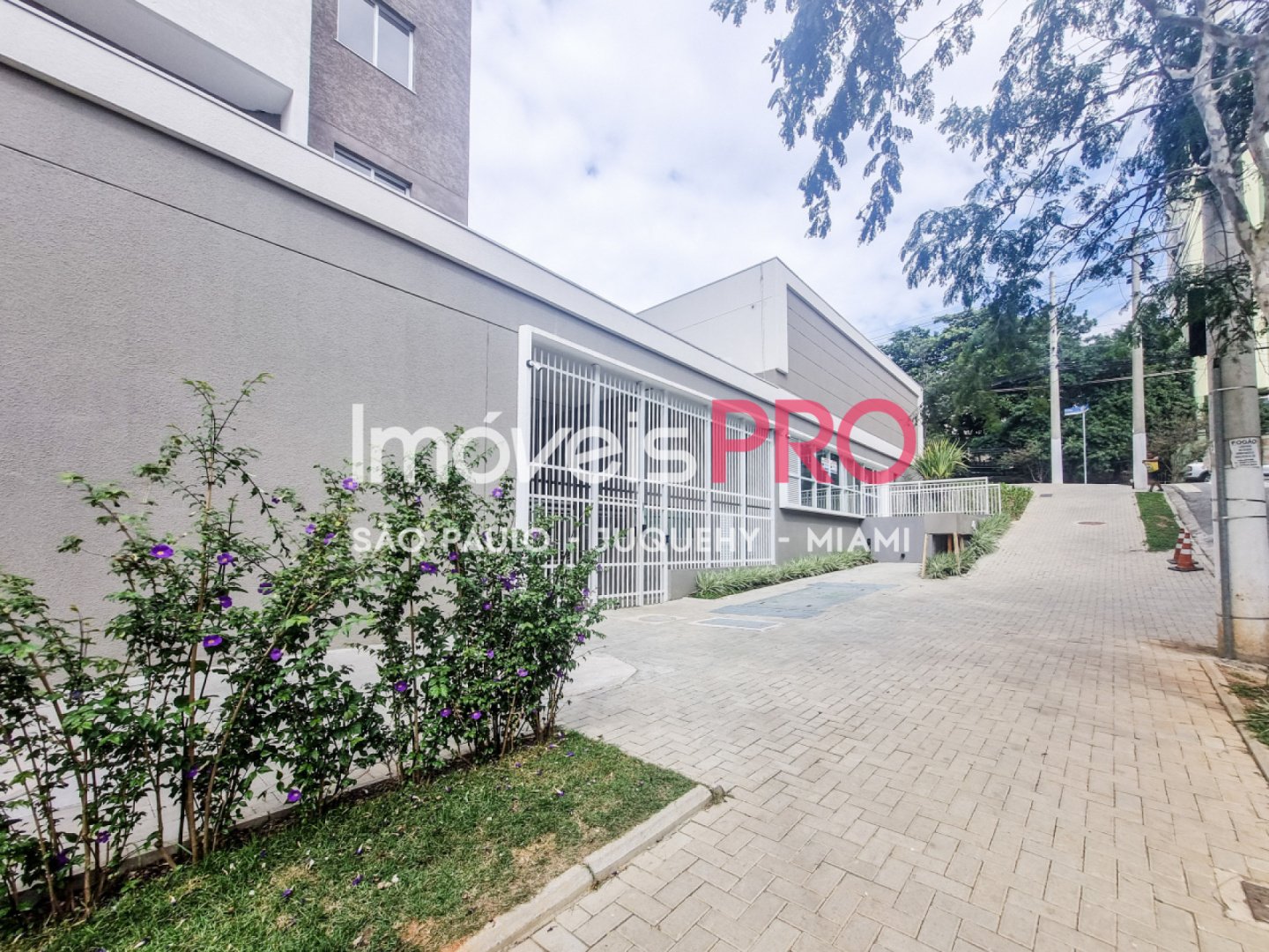 Foto :: https://assets.imoveispro.com.br/thumb/IP40650/apartamento-aluguel-vila-butanta_IP40650_29_1920x1080.jpg?