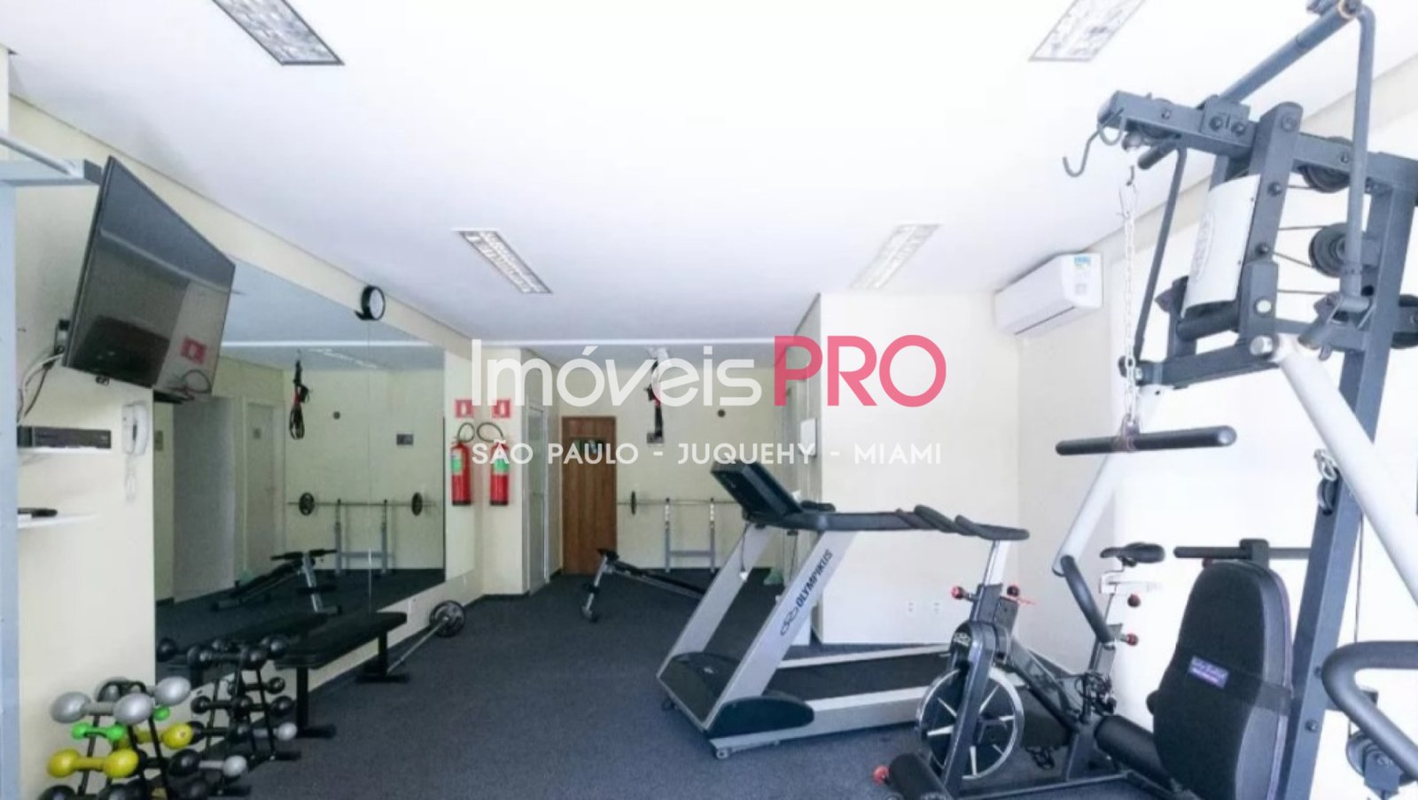 Foto :: IP40656