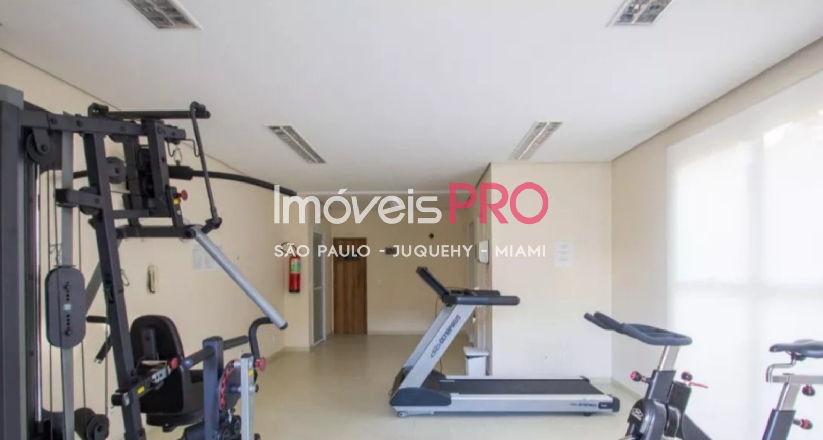 Foto :: IP40656
