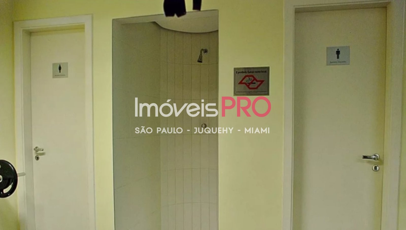 Foto :: IP40656