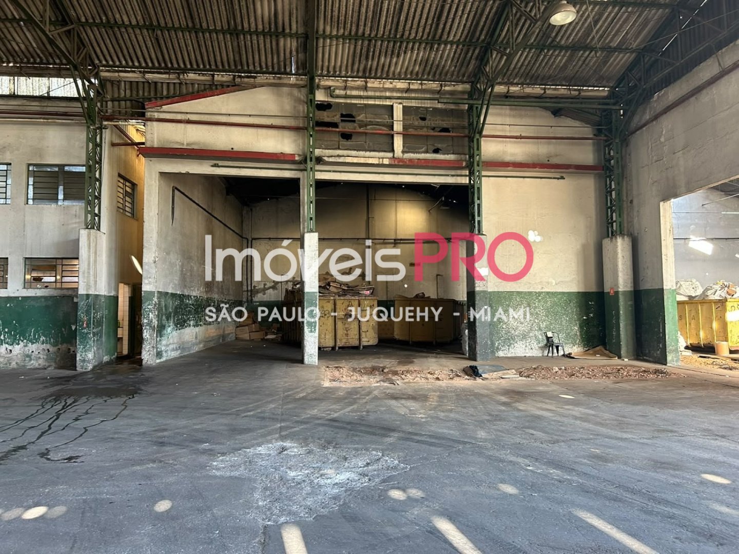 Foto :: IP40657